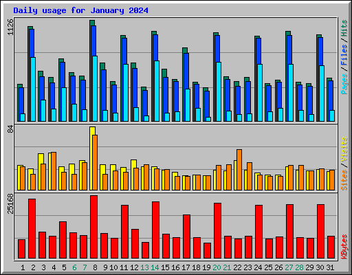 Daily usage for January 2024