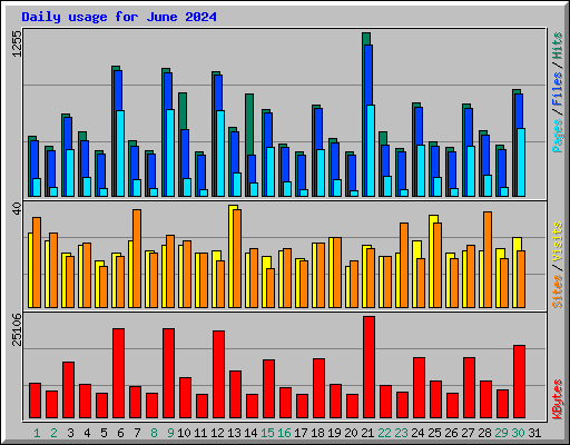 Daily usage for June 2024