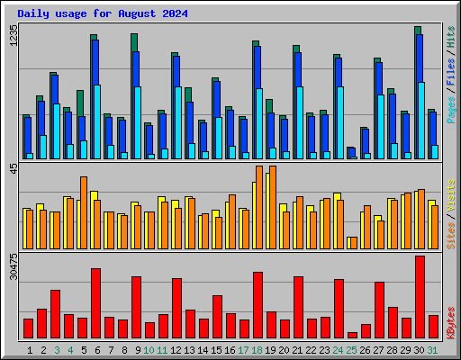 Daily usage for August 2024