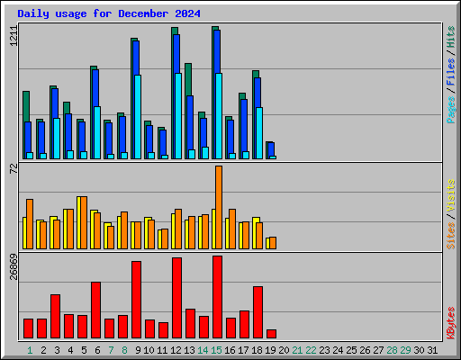 Daily usage for December 2024