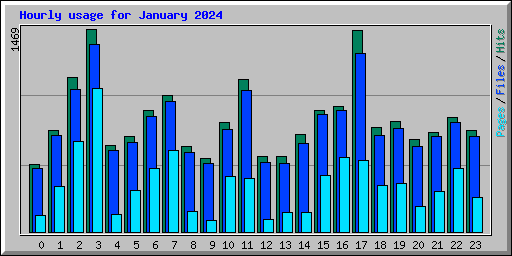 Hourly usage for January 2024