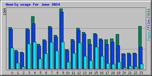 Hourly usage for June 2024