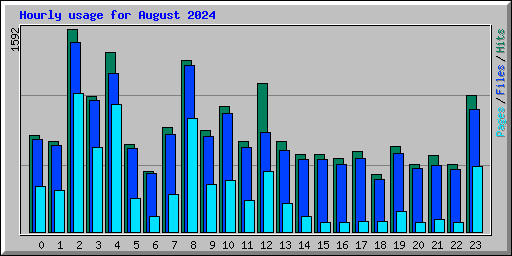 Hourly usage for August 2024