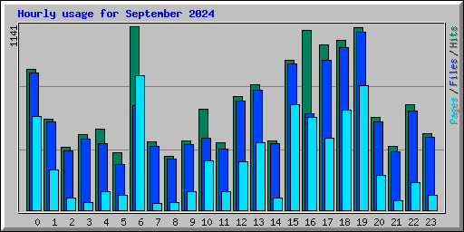 Hourly usage for September 2024