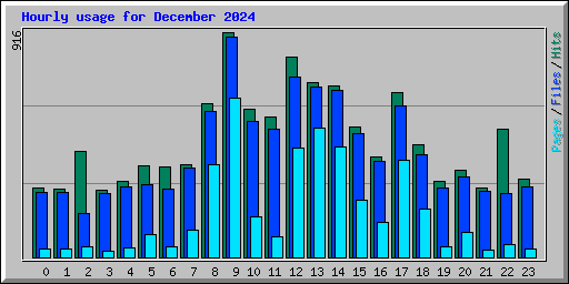 Hourly usage for December 2024